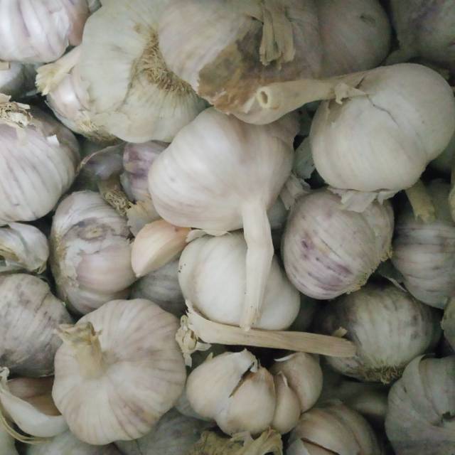 

Bawang Putih 250 gram