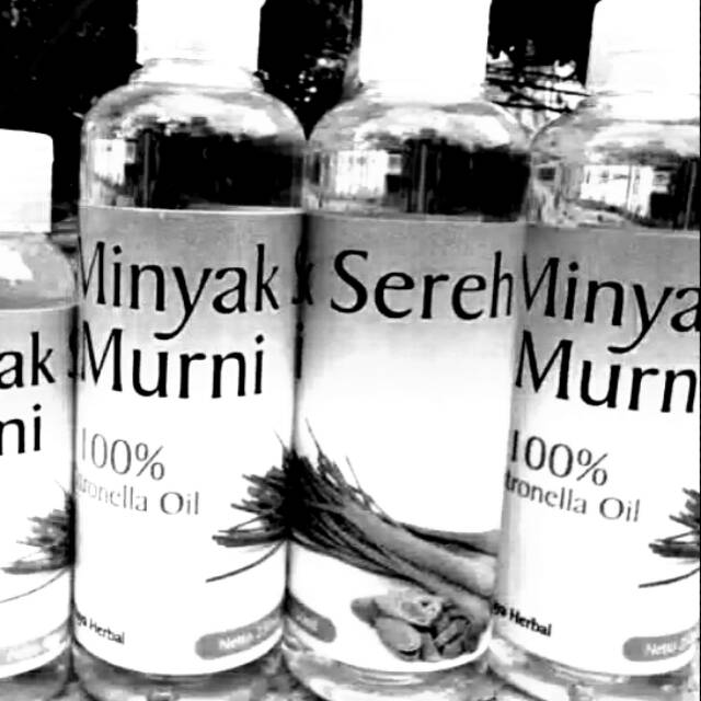 Minyak sereh wangi asli