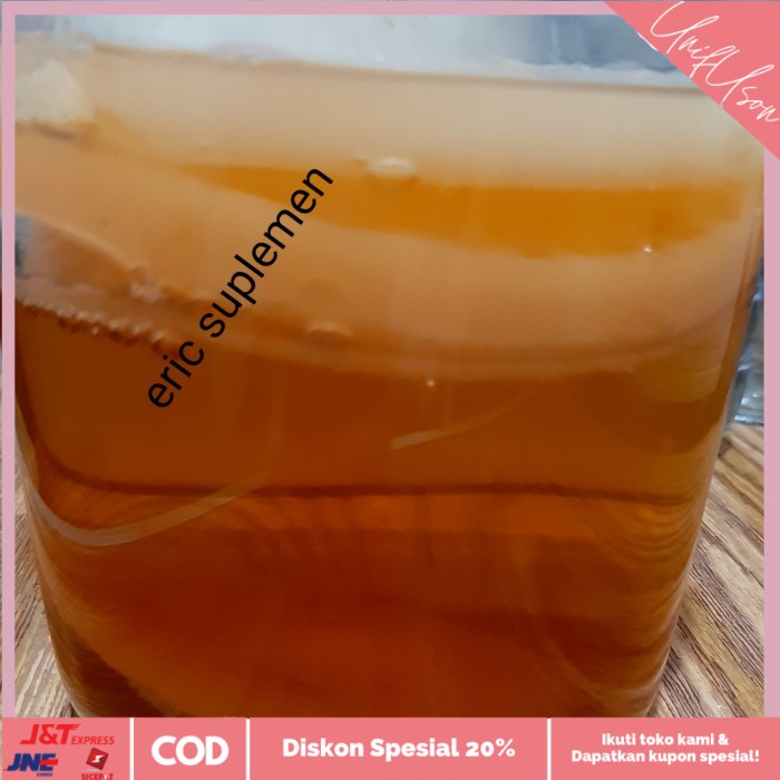 

⭐COD⭐ scoby jun tea premium