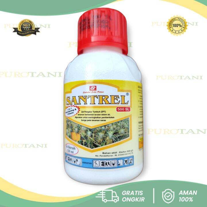 ZPT Pematang Buah Santrel 500 SL 100 Ml Etefon500 Gl