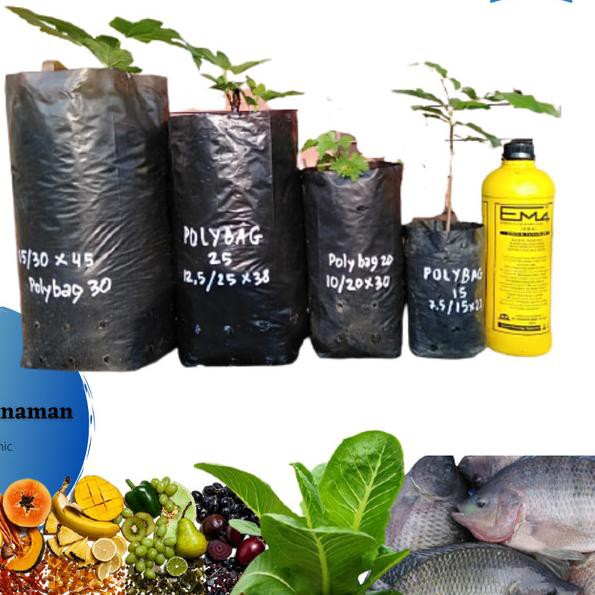 ➮ Polybag Sedang 1 kg ➸