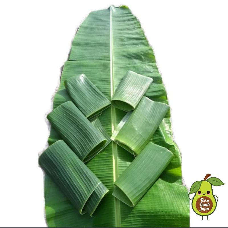 

DAUN PISANG FRESH 1 IKAT