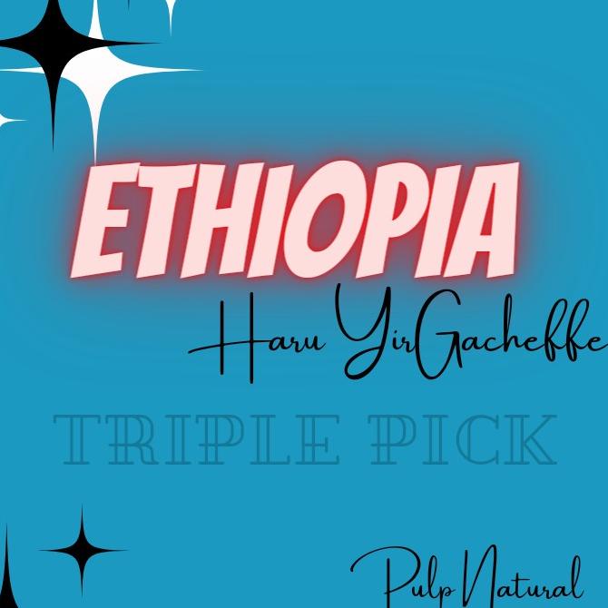 

Biji kopi / Green bean Arabika Import ETHIOPIA HARU - Pulp natural