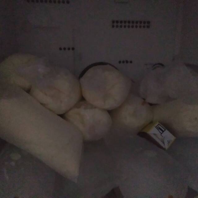 

Susu segar