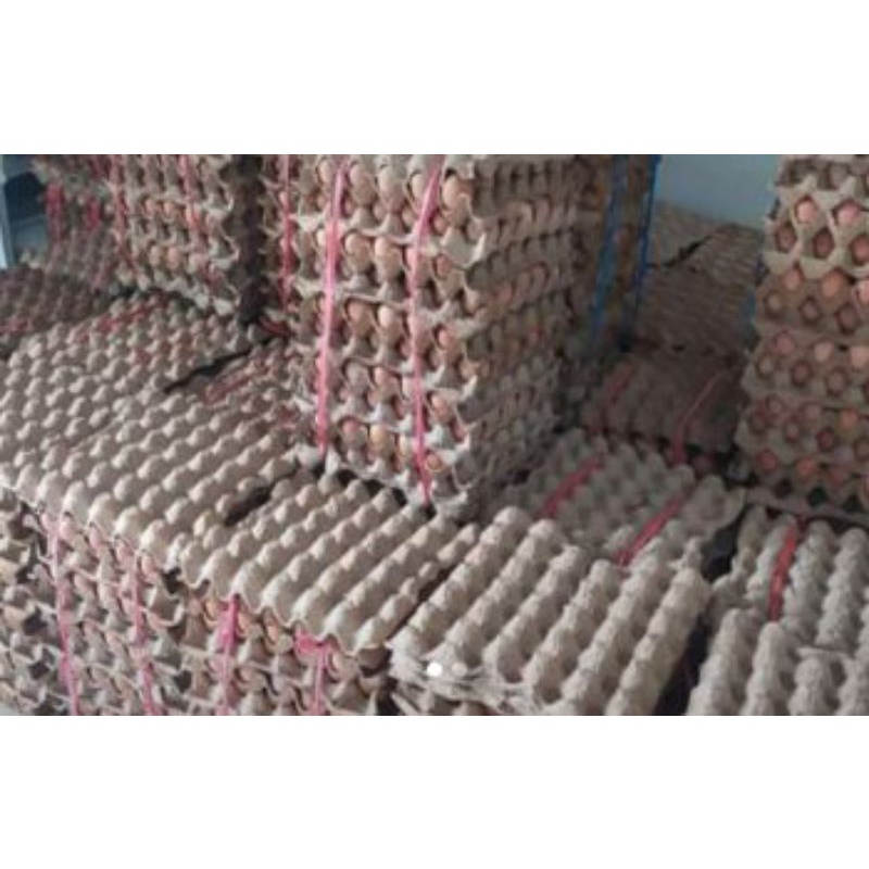 

telur grosir yang bisa jangkau