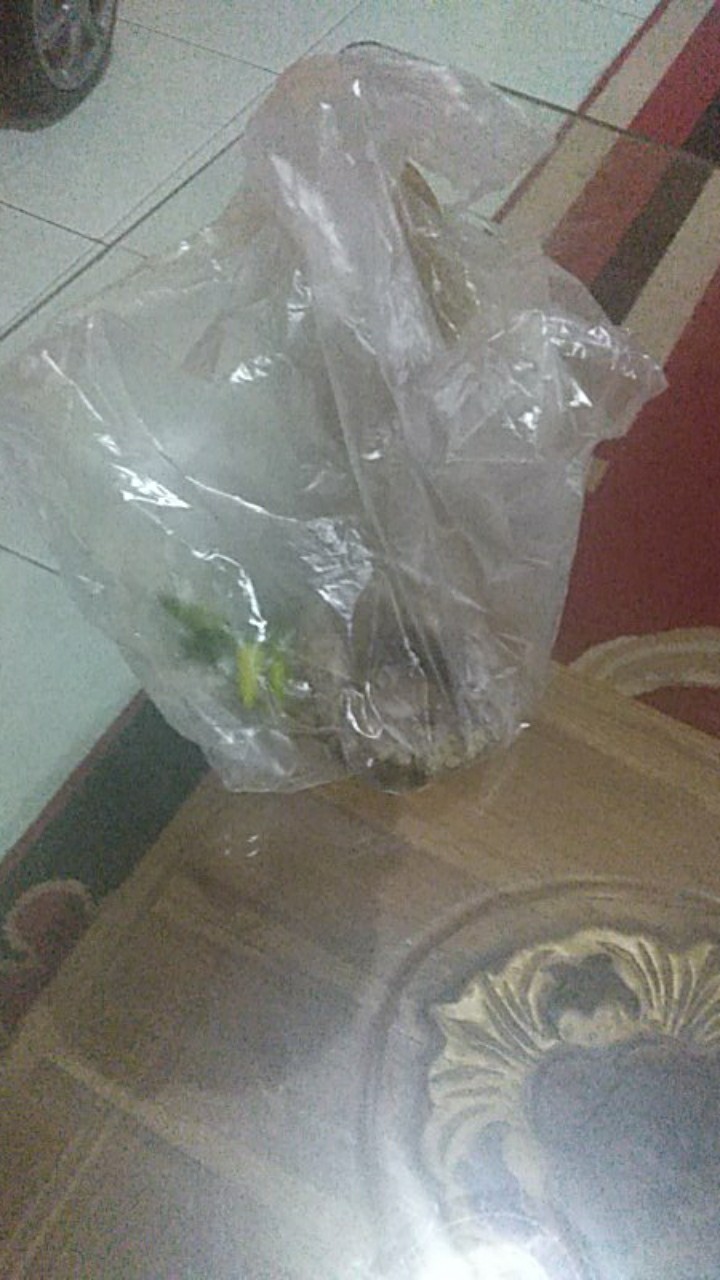 Grip Badminton Handuk Sph