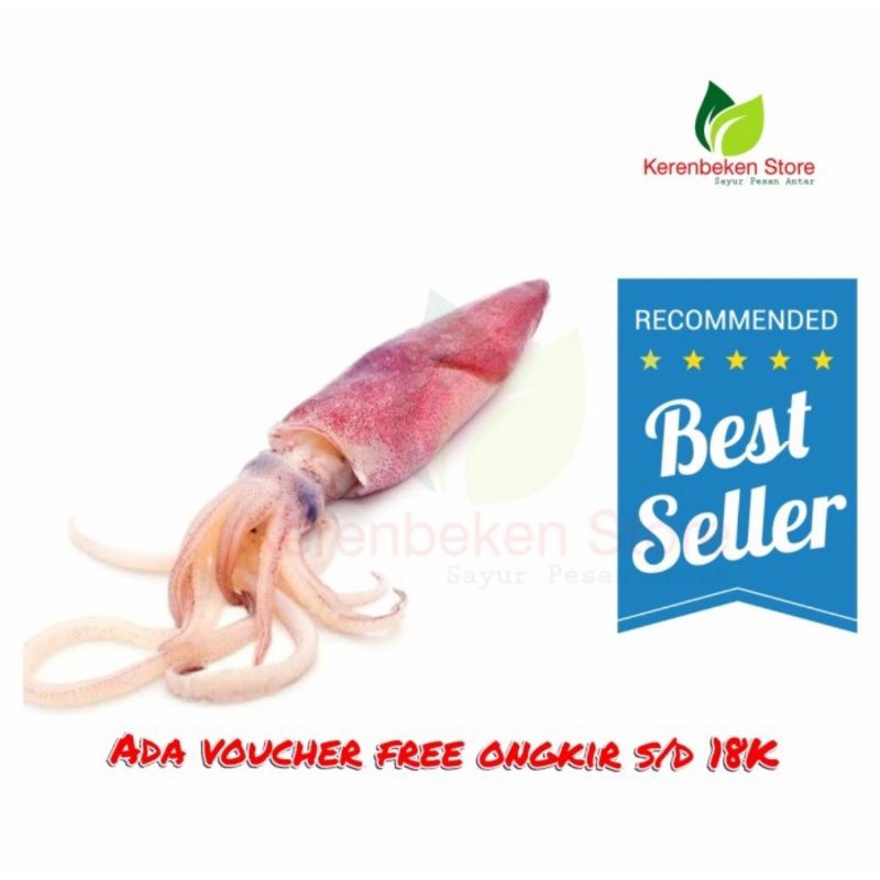 

ikan cumi basah segar