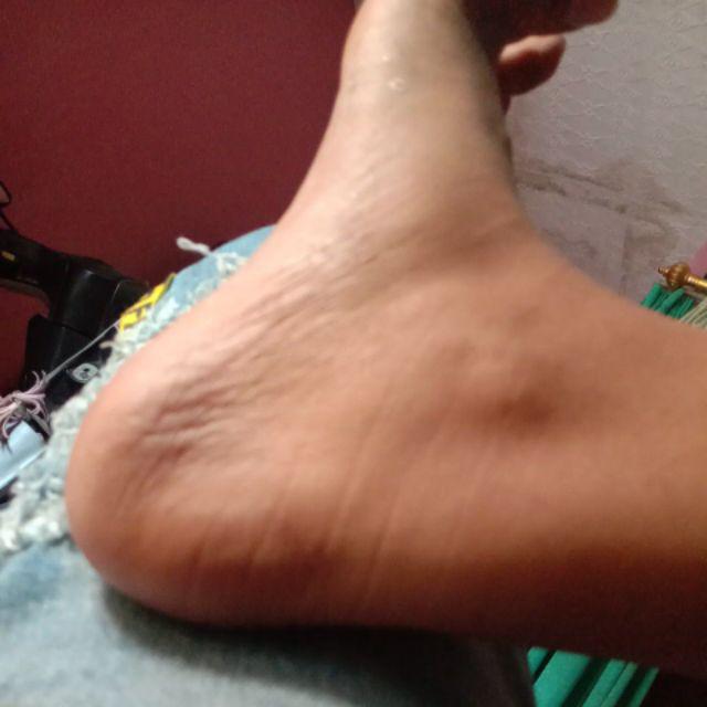 Sikat Kawat Kuningan / Sikat Besi Gagang Kayu Eagle Brand 8 Baris