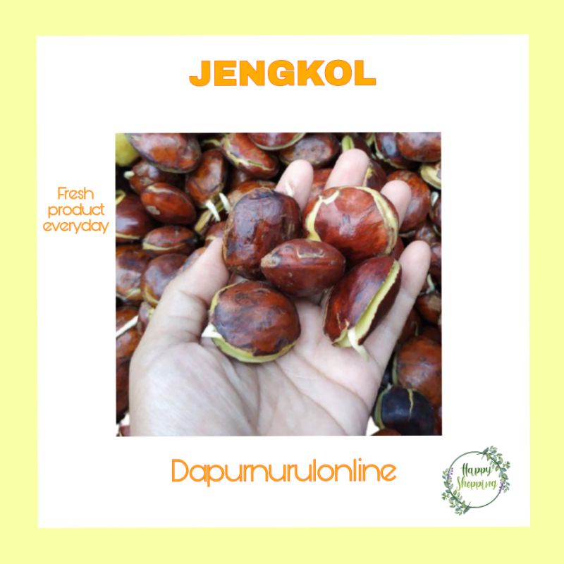 

Jengkol segar 500gr - 1 kg
