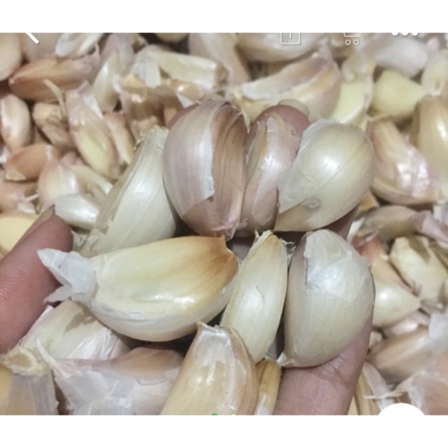 Bawang Putih Honan / Banci 500gram