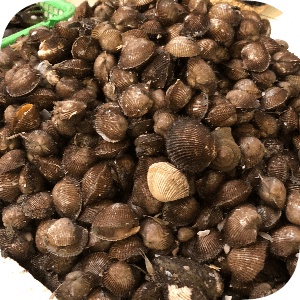 

Kerang Bulu 500 g