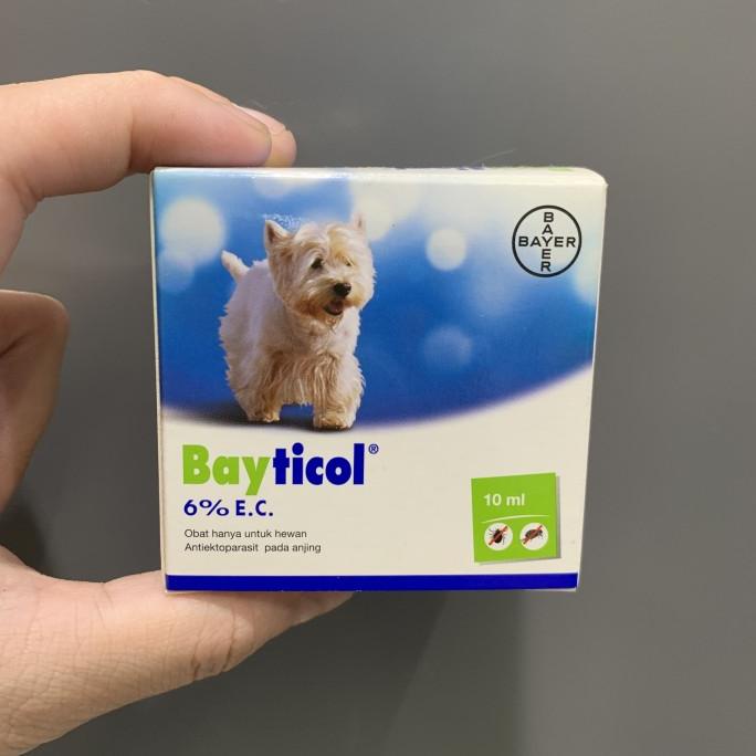 FOR SALE Bayticol - obat kutu anjing dan kucing Asli