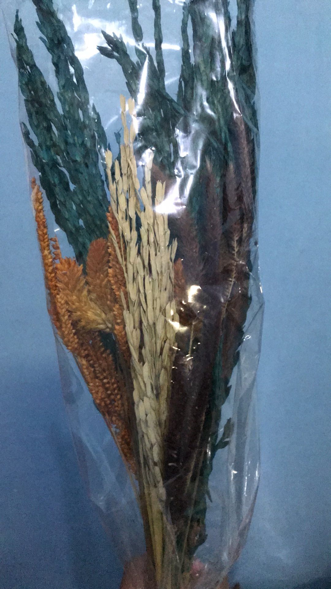 Bunga Kering Oson - Oson Violet