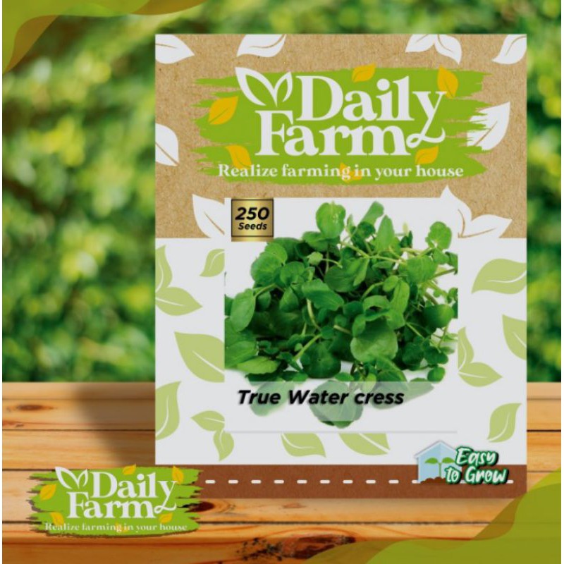 Benih Selada Air True Watercress - Bibit Selada - Daily Farm