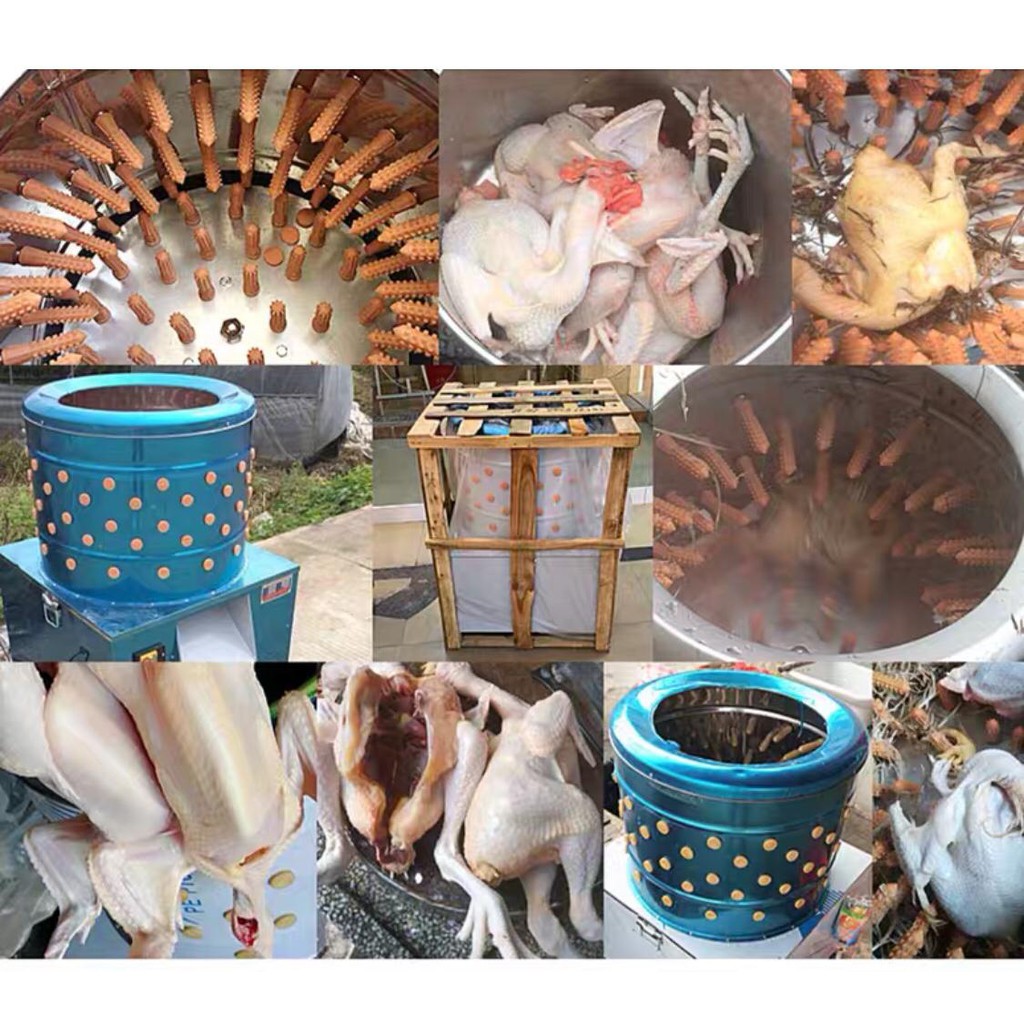 MAXPUMP MESIN TM-60 Mesin Pencabut Bulu Ayam Mesin Cabut Bulu Bebek Ayam Mesin bubut bulu ayam Stainles Stell