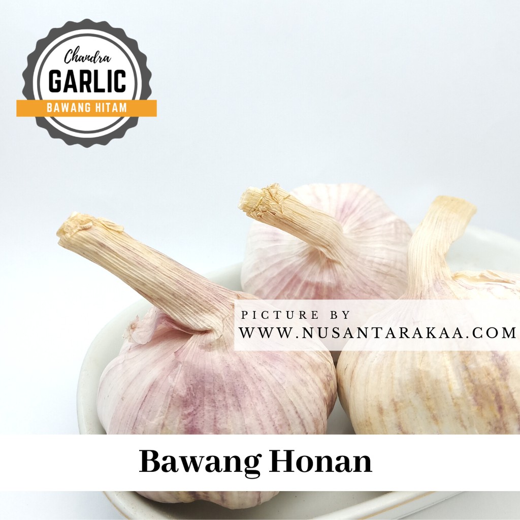 

Paling Laris Bawang putih honan / banci kotor