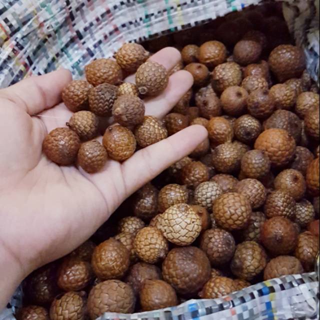 GROSIR BIJI ROTAN 1 KG GARANSI TERMURAH BAHAN RUSTIC  BIJI ROTAN BULAT