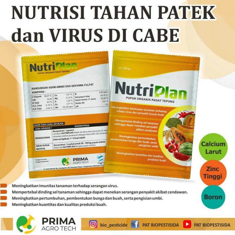 pupuk nutriplan 100 wp anggur cabai asam amino asam humat asam fulfat