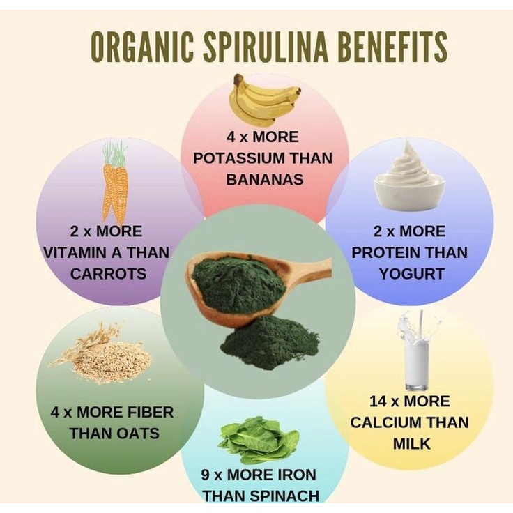 Organic Spirulina Powder / Bubuk Spirulina / Masker Spirulina