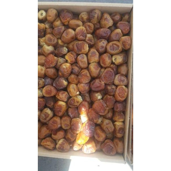 

Barang's special KURMA SUKARI/Kurma Raja AlQosem (3KG) W25W1 .!|!