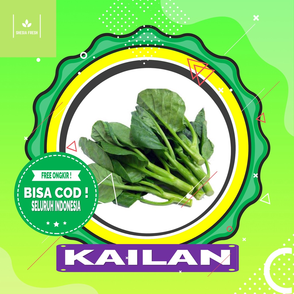 

Shesia Fresh - Sayur Kailan Organik 1 Ikat