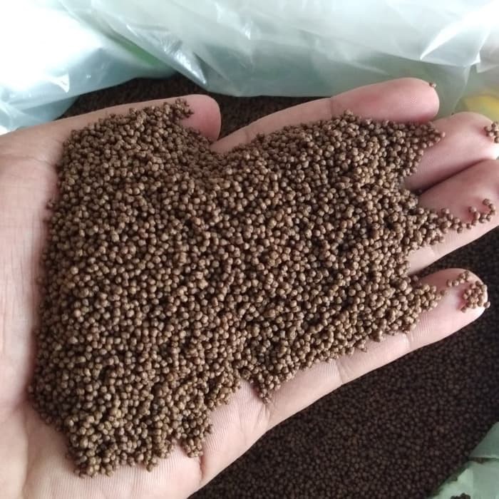 Pelet PF1000 Pakan Burayak Benih Bibit Ikan Lele Nila Gurame Hias 250g