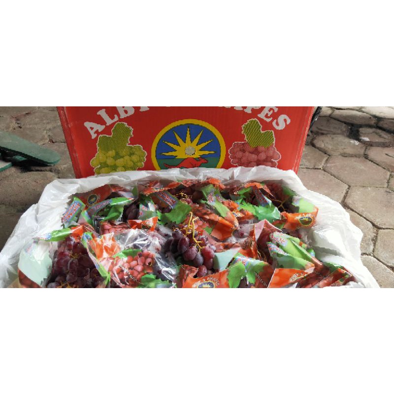 

Buah anggur crimson aus