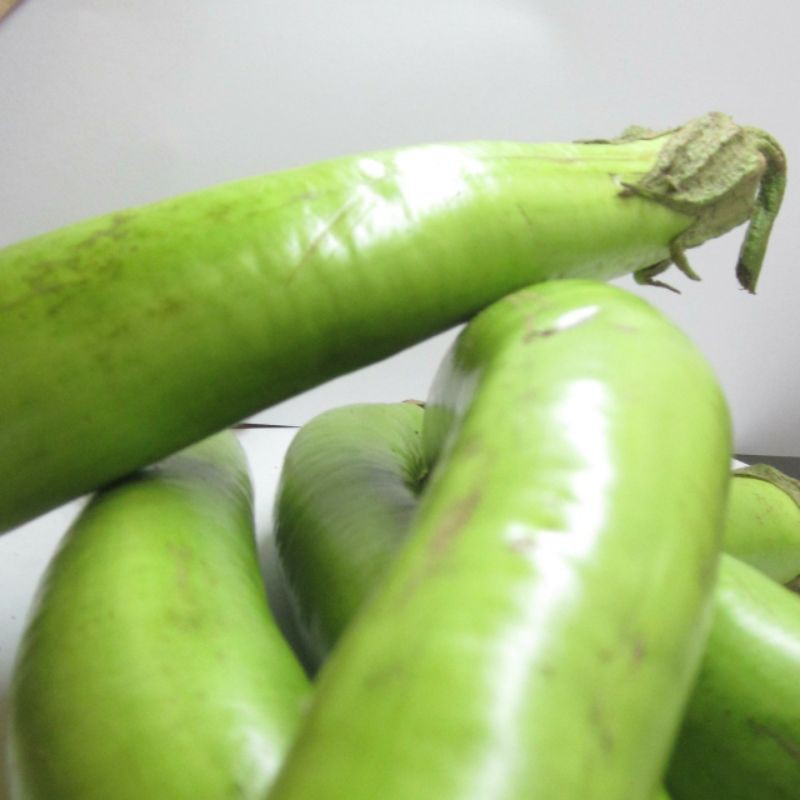 

Sayur Terong Hijau, 250 gram.