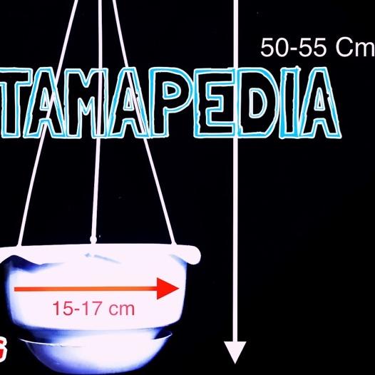 ➧ Paket Bunga Merambat Juntai Vernalya PRITI + Pot Gantung/ Bunga Plastik/ Daun Rambat Plastik/ Daun