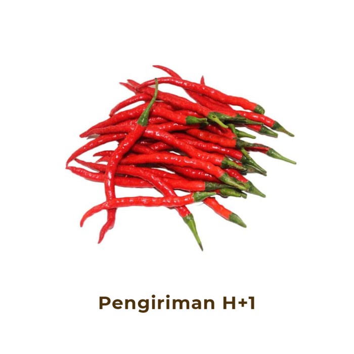 

Cabai Merah Keriting