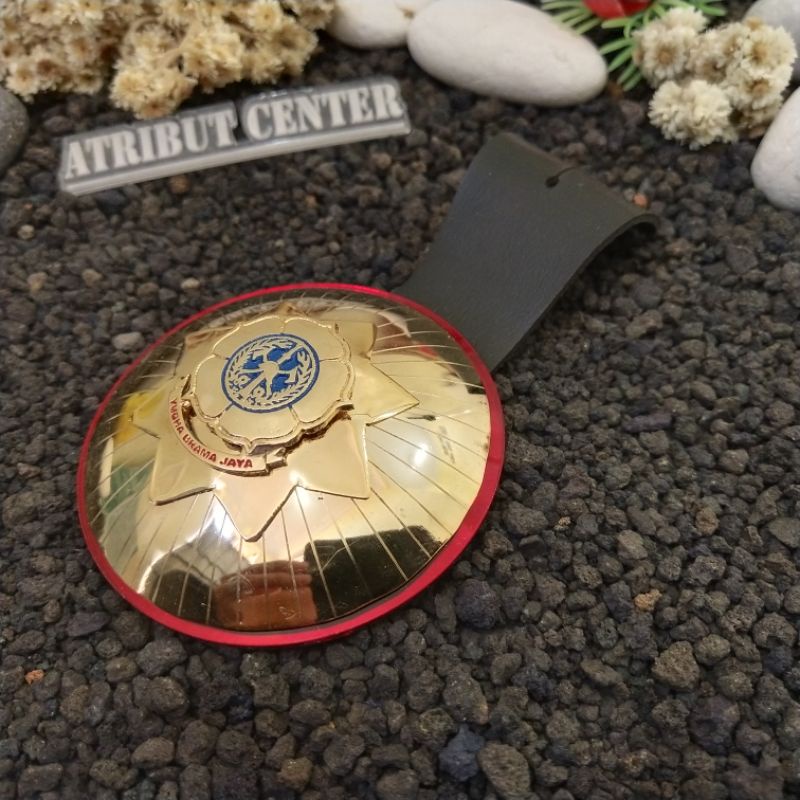 Tanjab Pemadam Damkar Eselon 2