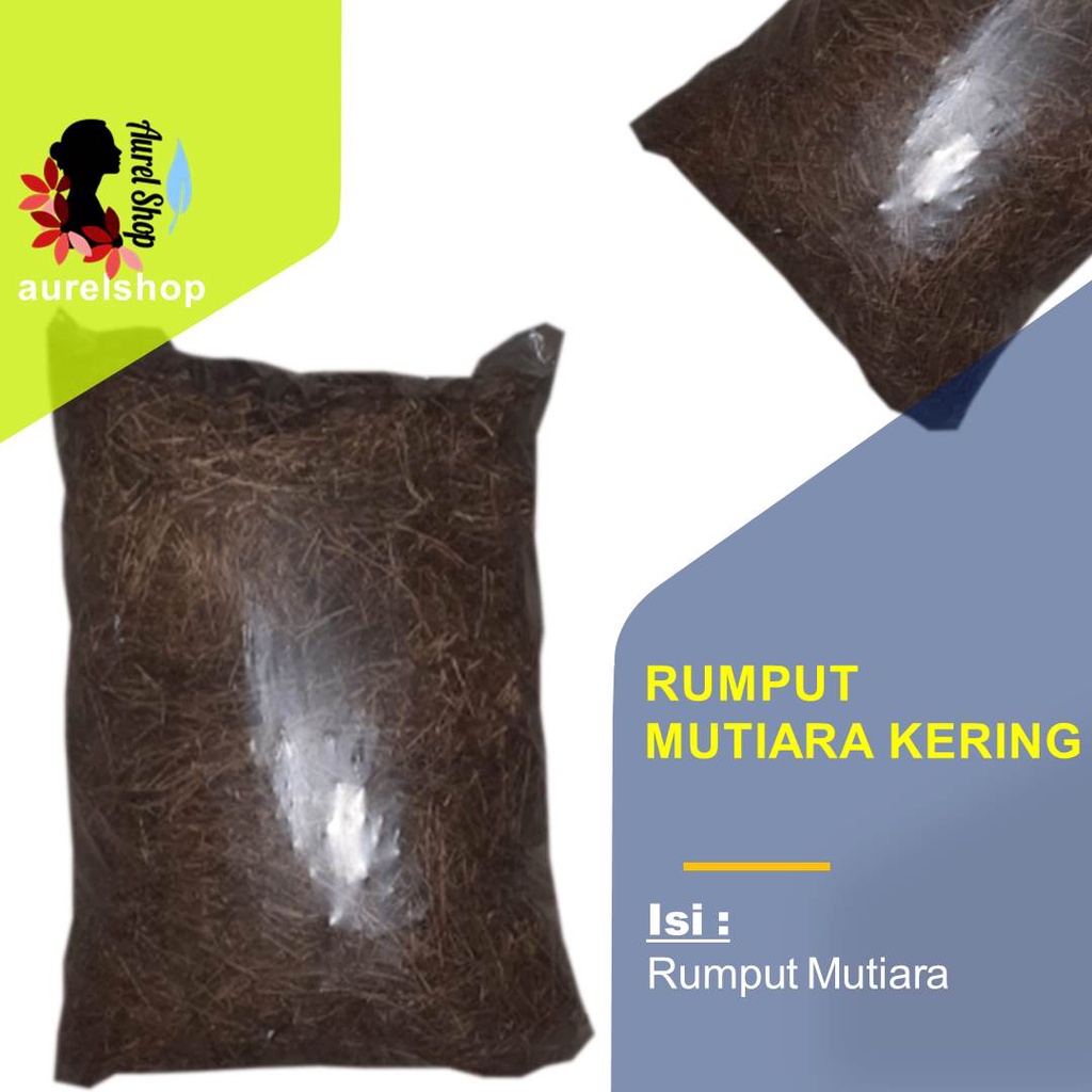 

Rumput Mutiara Kering 1 kg Rumput Siku SIku (snake-needle grass)