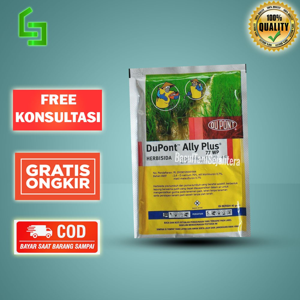 ALLY PLUS 77 WP 40 GRAM HERBISIDA DUPONT