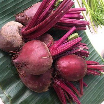 

Buah Bit - 500 gram