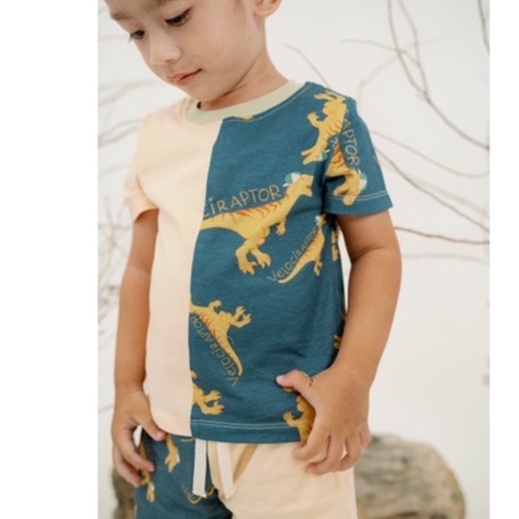 COMBINE TEE SET BOHOPANNA / BOHOPANNA DINO SET / Setelan Anak