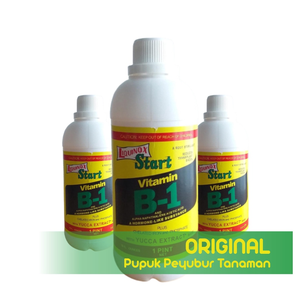 Pupuk Vitamin B1 Tanaman Liquinox 470 ml Pupuk Perangsang Tumbuh Akar Tanaman