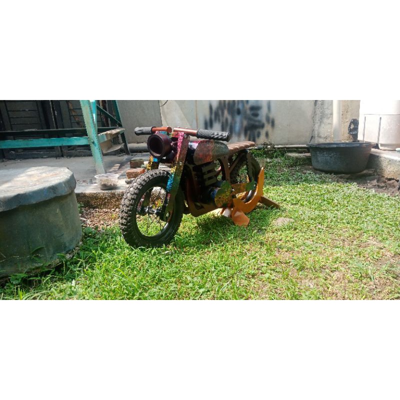 sepeda anak / push bike / balance bike
