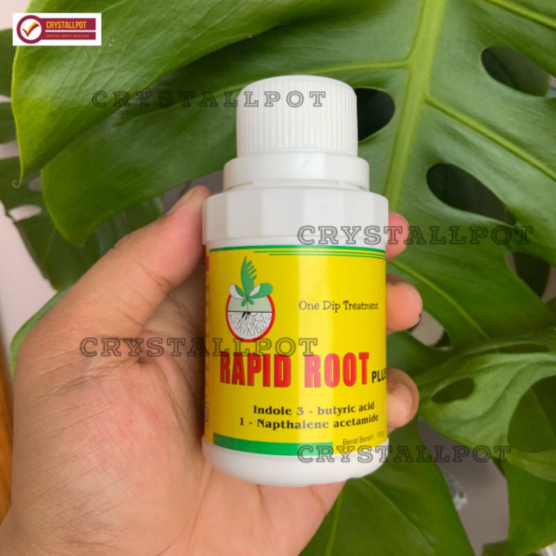 RAPID ROOT PLUS 100 GR hormon pertumbuhan akar dan merangsang akar - ZPT