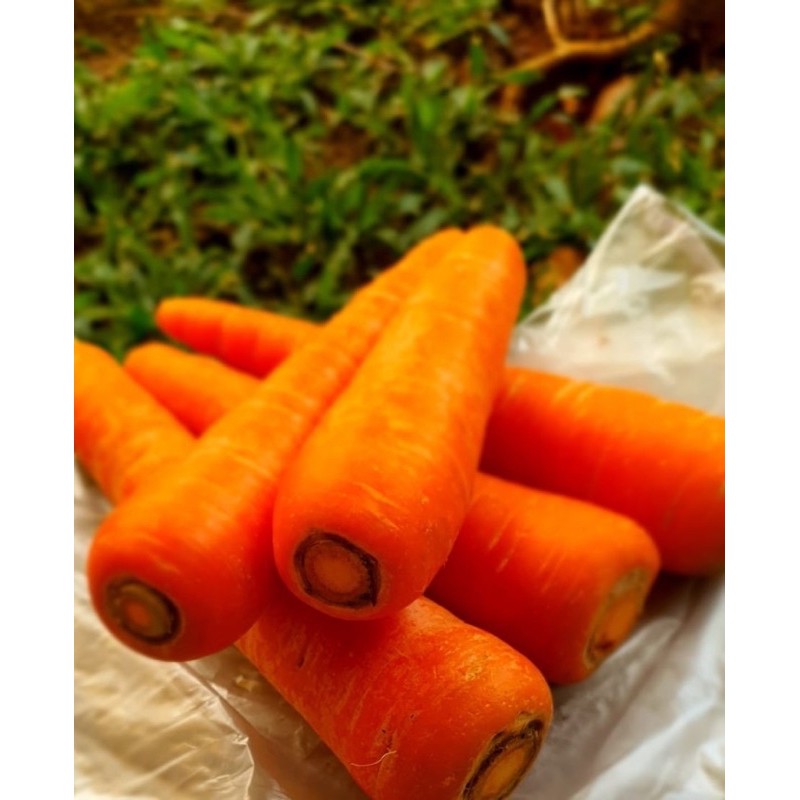 

Wortel import 500gr