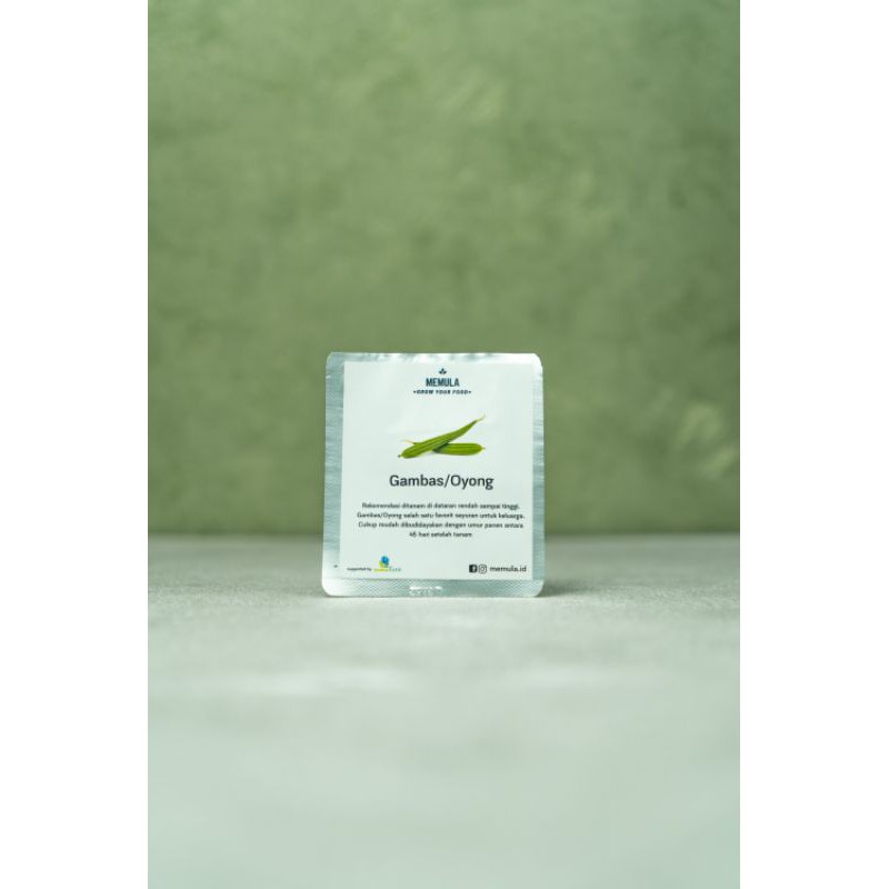 benih oyong/gambas