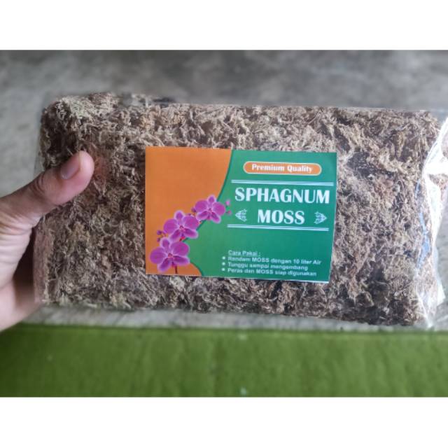 Media Anggrek mos putih, spagnum mos, steril, original, media premium