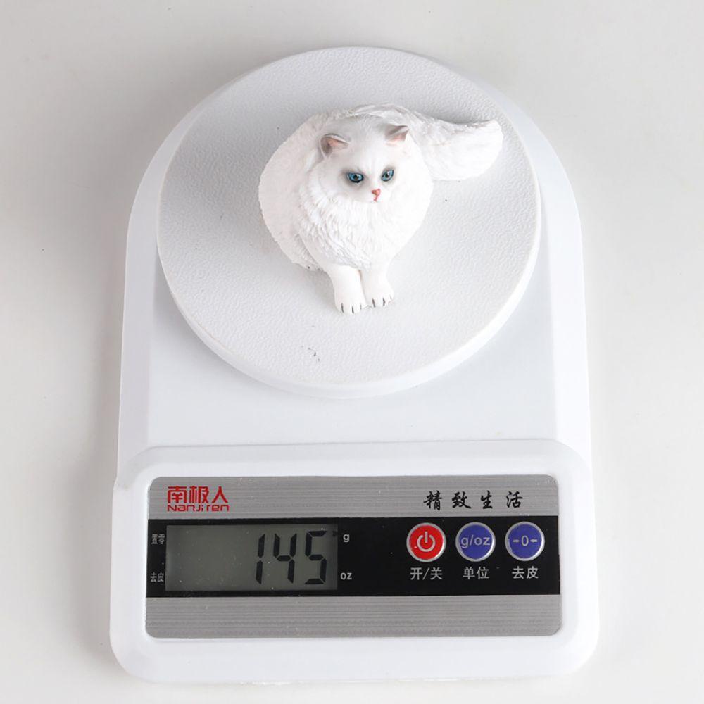 R-flower Boneka Ragdoll Cat Untuk Anak-Anak