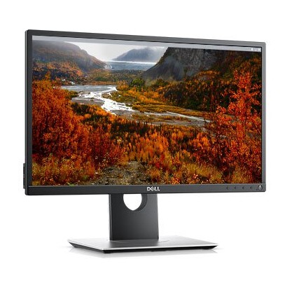 DELL PC Monitor