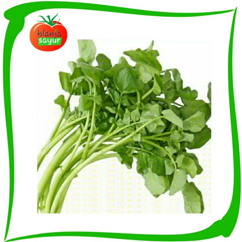

Sayur Paret segar 1 ikat/ Selada air