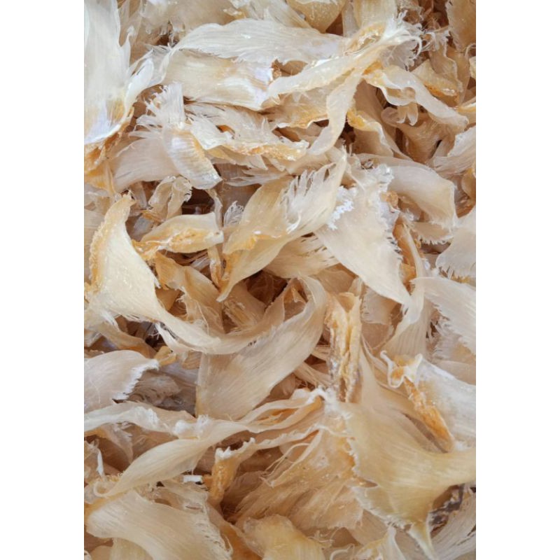

(100gr) Hechi / Sirip Ikan Asli Kalimantan Barat / Sirip Ikan Hiu / Hisit / Huchi / He chi / He Sit / He qi