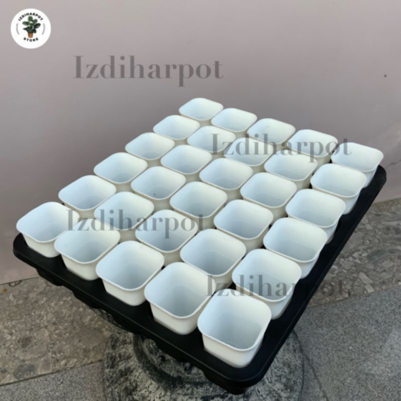 1 SET TRAY LUBANG 30 + POT NKT KOTAK 5CM PUTIH 30 PCS | TRAY SEMAI BIBIT