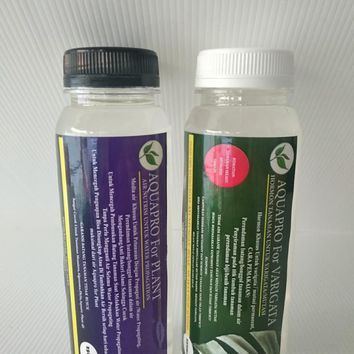 Hormon Varigata + Aquapro For Plant
