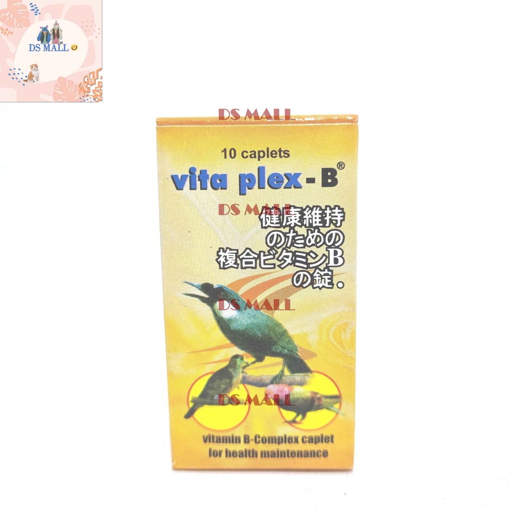 ds vita plex B bird -  vitamin B kompleks menambah nafsu makan burung