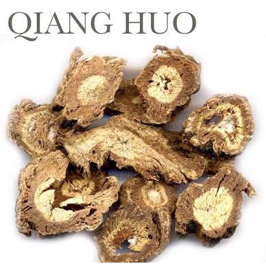 

10 G 50 GR 100 GRAM 羌活 QIANG HUO KIONG FAT NOTOPTERYGIUM ROOT