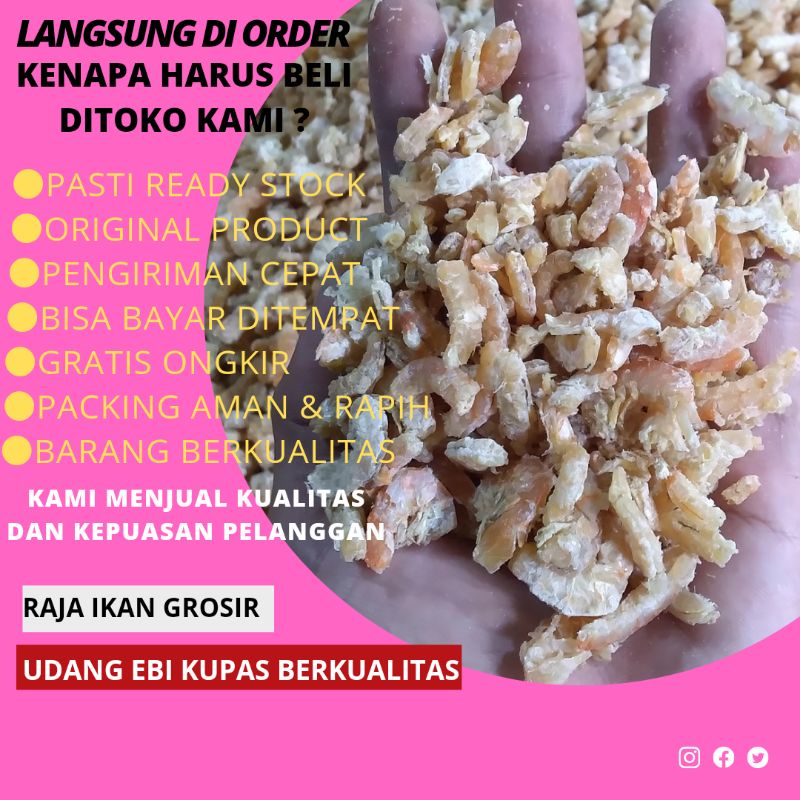 

UDANG EBI KUPAS 100 GRAM MURAH BAGUS